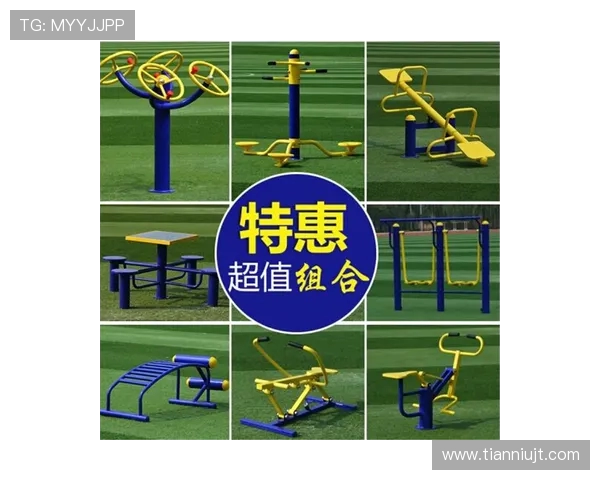 老人专用健身器材种类与使用方式