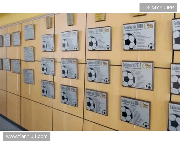 2024年法甲外援技术贡献分析及综合竞技表现报告